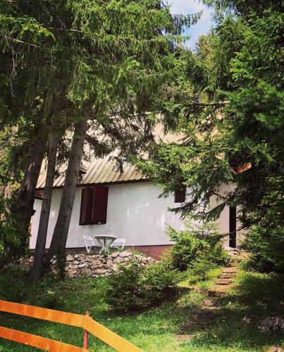 Black Lake House Dajovic
