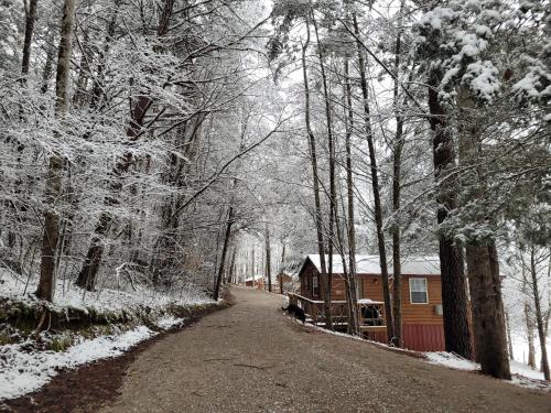 FireFly Acres - image 9