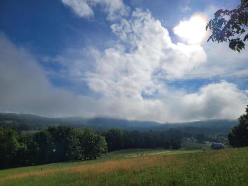 FireFly Acres - image 5