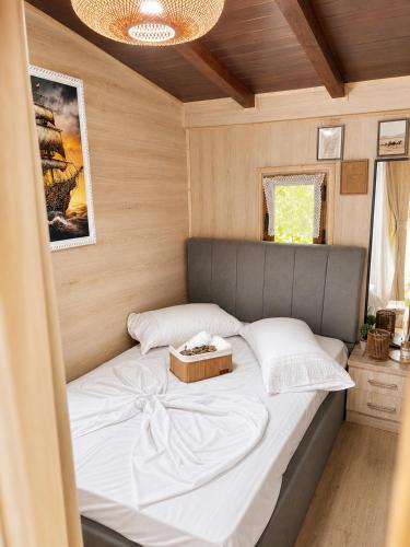 Eagle Park&Camping in Delvinë