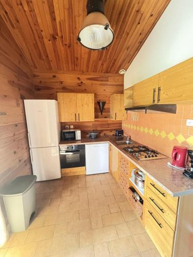 Chalet Le Douglas 30 Personnes in Genissieux (Rhone-Alpes)