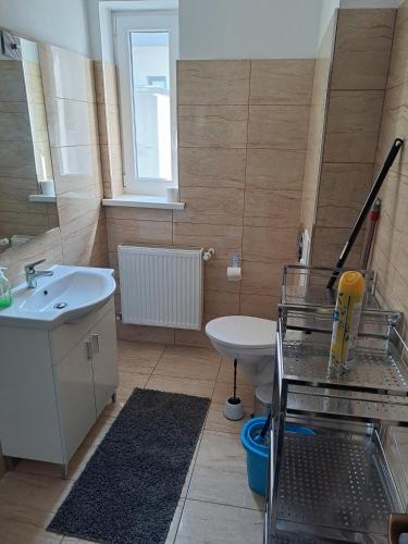 Voll ausgestattete Monteur- Ferienwohnung direkt an der Raffinerie Leuna in einer Villa mit kleinem  in Mersebourg