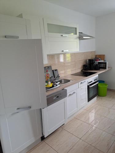 Voll ausgestattete Monteur- Ferienwohnung direkt an der Raffinerie Leuna in einer Villa mit kleinem  in Mersebourg