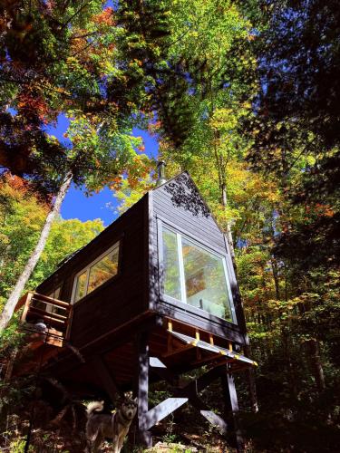 Viesnīcas āriene, TinyHouse - Touski in Val-des-Lacs (QC)