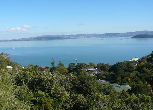 Breakaway at York Bay Wellington