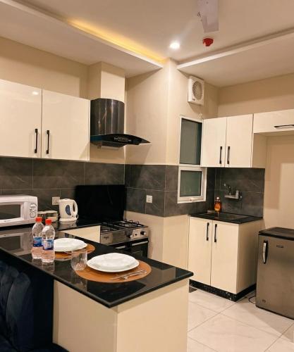 Zameen Opal apartments - image 11