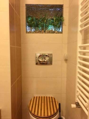 ZEN Apartman in the middle of CENTER at GOZSDU - image 11