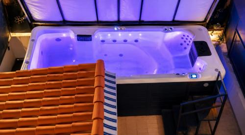 Piscine Jacuzzi Privée Chauffée, Terrasse et Garage à Nice