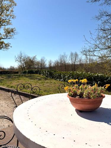 Agriturismo Nani in Viarigi