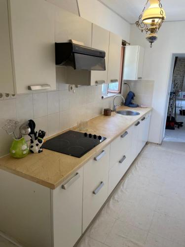 virtuve, Maison Brunetière (Maison Brunetiere) in Availles-Limouzine