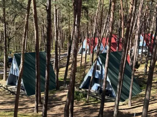 Ruhe & Natur pur, kleine Finnhütte zum Entspannen und Durchatmen, 200m zum Strand - Nemo in Trassenheide, Deutschland