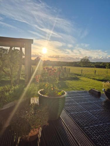 River Meadow Retreat in Culmstock
