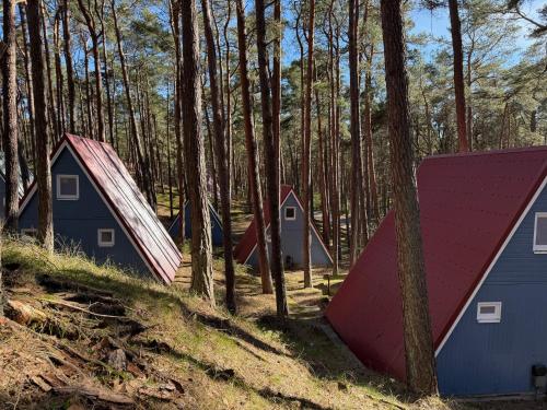 Entspannung garantiert, Finnhütte umgeben von Natur und Ostsee - Kurt in Trassenheide, Deutschland