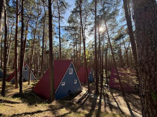 Glamping-Feeling im Grünen - kleine Finnhütte für besondere Tage am Meer - Soul in Trassenheide, Deutschland