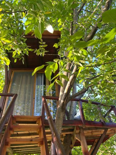 Eagle Park&Camping in Delvinë