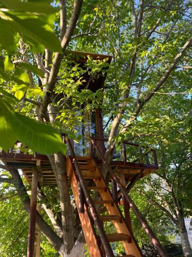 Eagle Park&Camping in Delvinë
