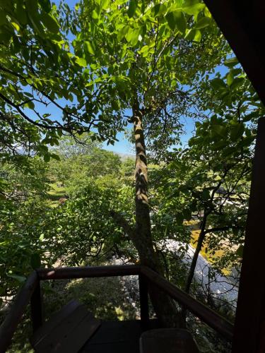 Eagle Park&Camping in Delvinë