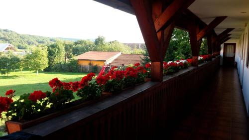 Balkons/terase, Kuria Vendeghaz in Rugănești