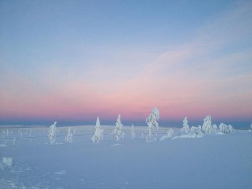 Panoraama 3, Saariselkä (zdjęcie 11)