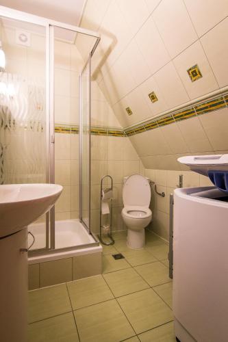 Large One-Bedroom Apartment image 10