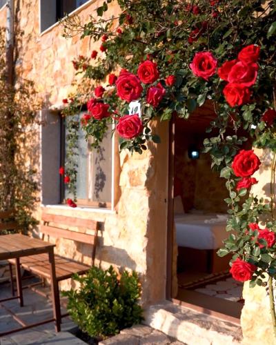 Dana Trail Hotel in Dana