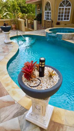 Paradise Place Apartments – khách sạn tại Tobago