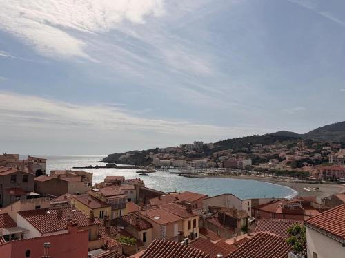 Appartement ravissant vue mer - 2 pers. - FR-1-309-576