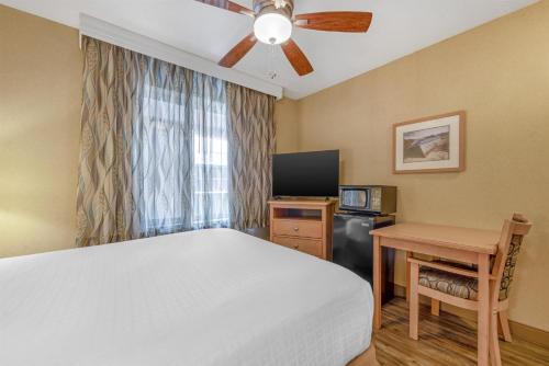 Best Western Plus Ocean View Resort - image 23