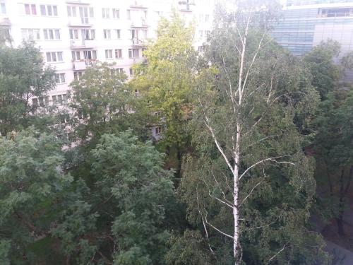 Warsaw Center - Apartment near Central Railway Station