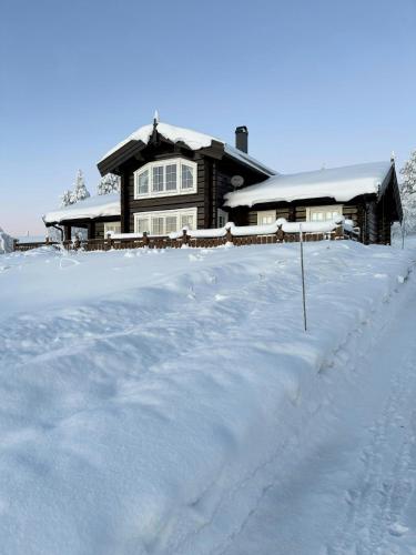 . Log Cabin With Panoramic Views Near Renåfjellet