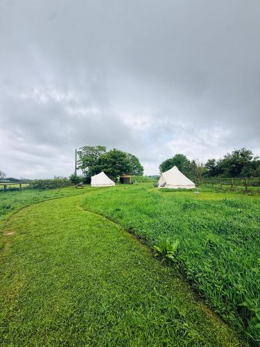 Maesbury Meadows in Ashwick