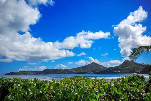 Villa Eugénie, Gustavia (Foto 4)