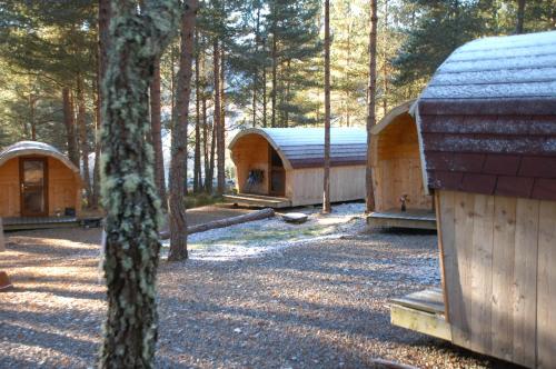 Сад, Camping Pod Heaven in Драмнедрочіт
