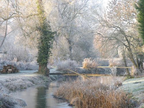 Old Swan - image 4