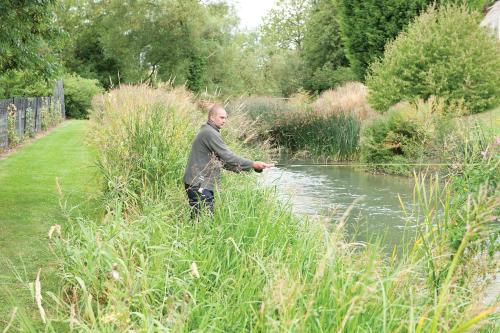 Old Swan - image 13