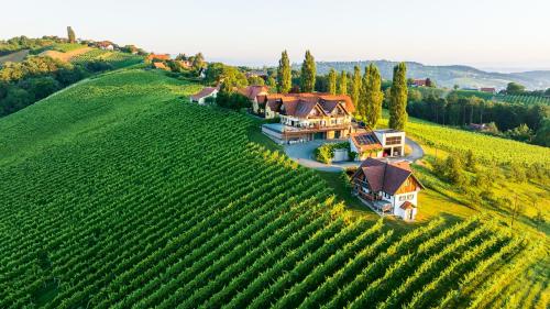 Weinquartier Pichler-Schober in Mitteregg, Österreich