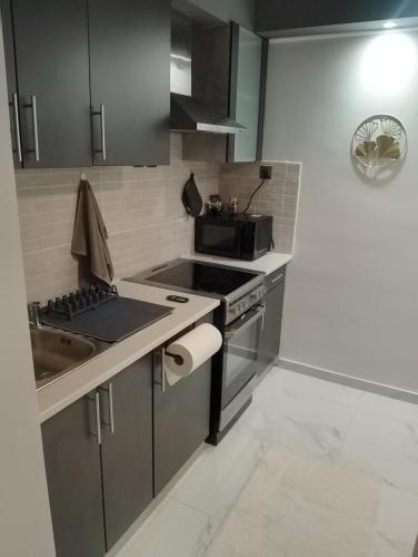 Luxury Semi-Basement Suite Athens - image 8