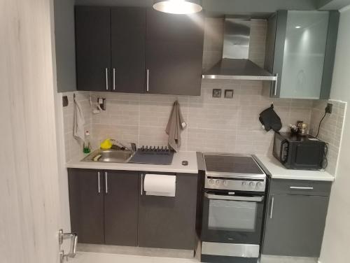 Luxury Semi-Basement Suite Athens - image 11