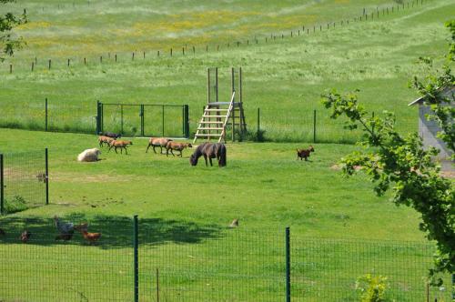 Résidence Thier Antoine - image 13