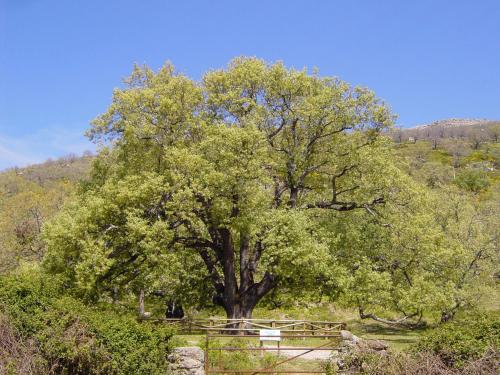 Apkārtne, Casa Rural Romanejo in Cabezabellosa
