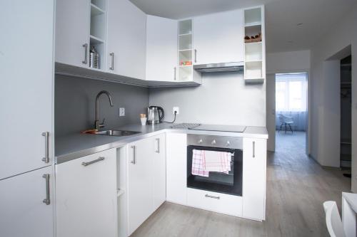 ห้องครัว, Haas Apartments in ซาบอฟเรสกี