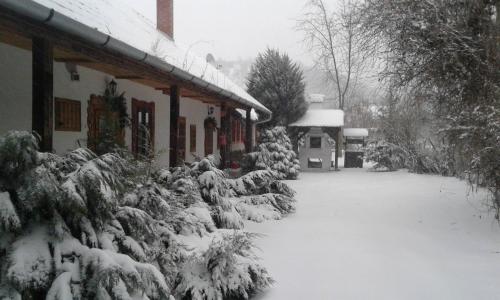 Cserhát Guesthouse - image 13