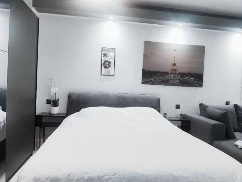 Luxury Semi-Basement Suite Athens - image 13