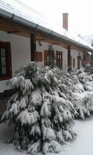 Cserhát Guesthouse - image 8