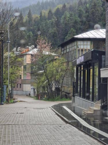 Abastumani - Star Forest Apartment in Abastumani
