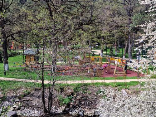 Abastumani - Star Forest Apartment in Abastumani