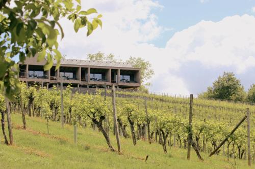 DER ZWEYTICK - Weingut, Buschenschank & Lodges in Ehrenhausen, Österreich