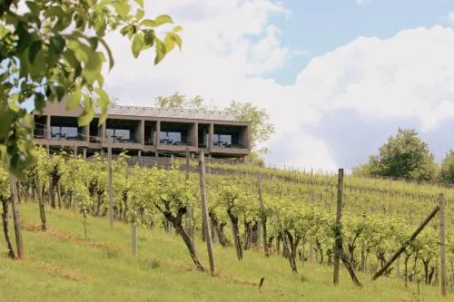 DER ZWEYTICK - Weingut, Buschenschank & Lodges in Ehrenhausen, Österreich