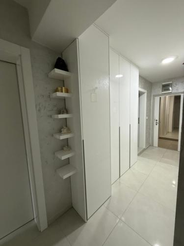 White&Blue Luxury Stay in 弗拉迪欽漢