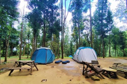Surrounding environment, Youlien Campsite Bandung in Pasirjambu